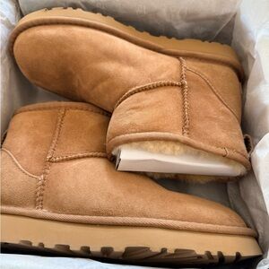 UGG Chestnut Classic Mini II Boots